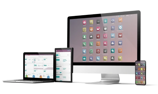 ODOO ERP SERVICES - BASIC LINES OFFICE 